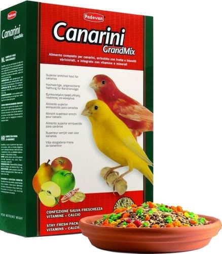 canarini