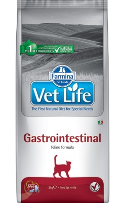 vet-life-cat-gastrointestinal-370x600