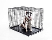 Клетка для собак № 5 (108х72х77 см) Leo Factori