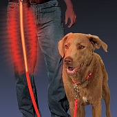 Светящийся собачий поводок Nite Dawg - LED Pet Leash
